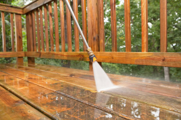 Best Driveway Pressure Washing  in Port Arthur, TX